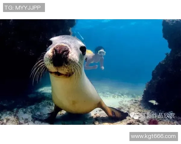 足球明星与海洋奇遇记高清抱鱼瞬间展现运动与自然的完美结合 足球明星与海洋奇遇记高清抱鱼瞬间展现运动与自然的完美结合